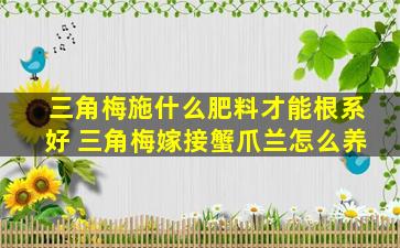 三角梅施什么肥料才能根系好 三角梅嫁接蟹爪兰怎么养